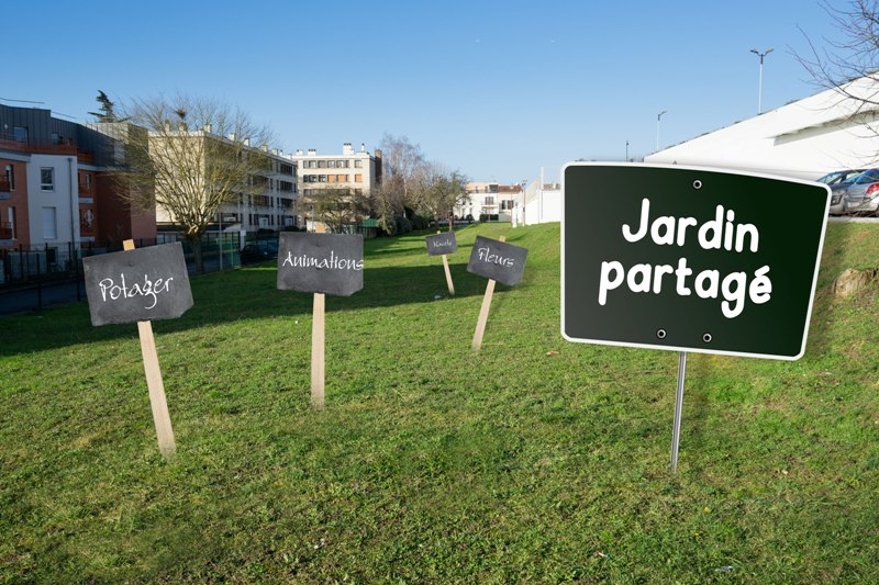 20180117 jardin Montage
