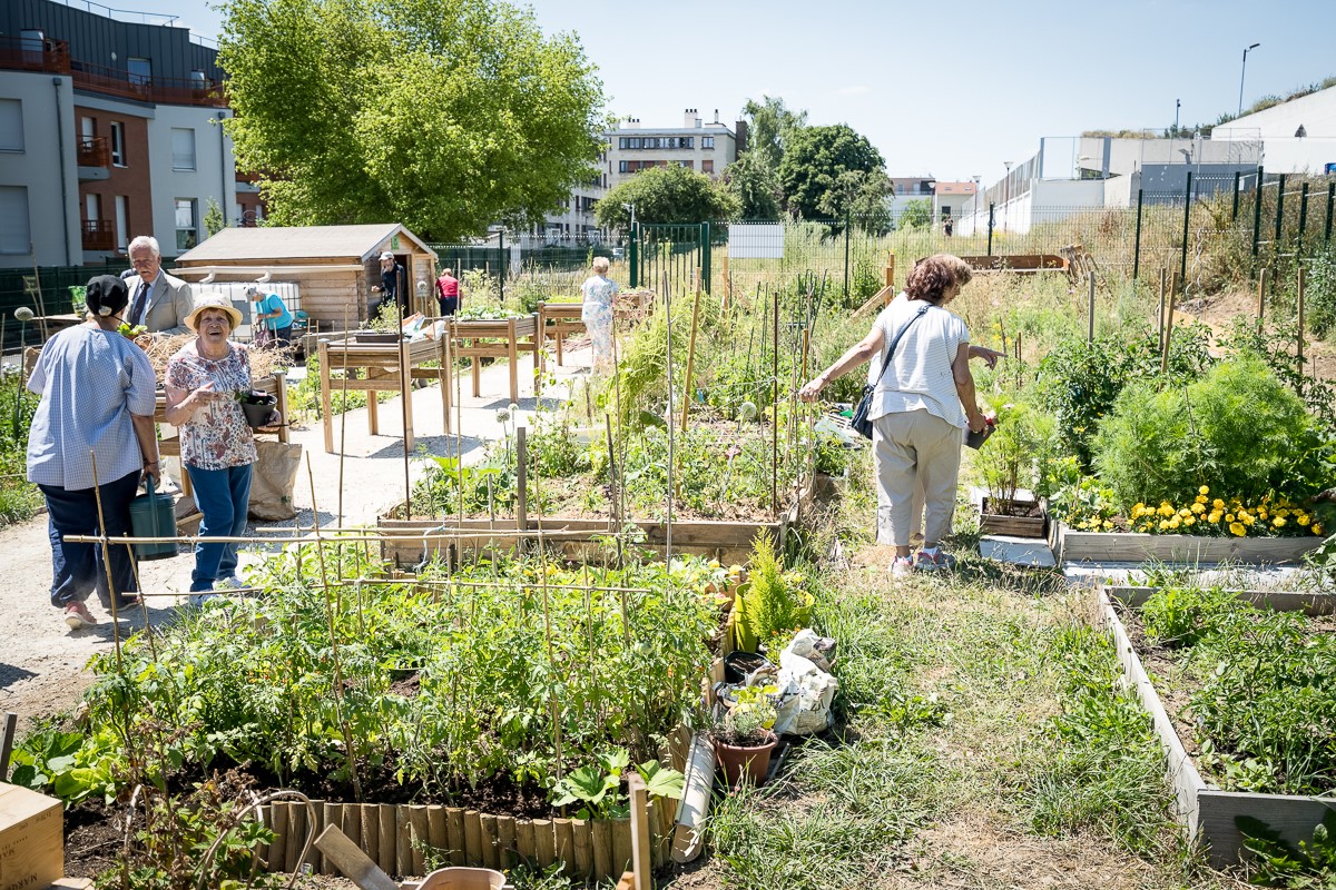 Ferme urbaine : tous les projets de Cultures en Ville