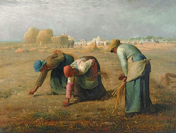 Millet