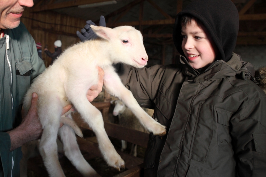 ferme