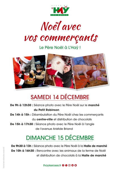 Noël_des_commerçants_-_père_noël_JPG